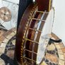 Epiphone Superb Professional Tenor banjo Image 5