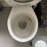 toilet Image 2