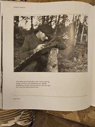 Forest Images. Fr Browne's Woodland Photographs From Emo Court Co Laois. Fabolous FIRST EDITION Large Volume Hardback In Good Condition.  See Photos For Same.