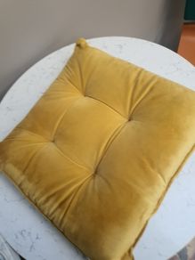 Gold Coloured Seat Pad