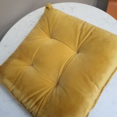 Gold Coloured Seat Pad