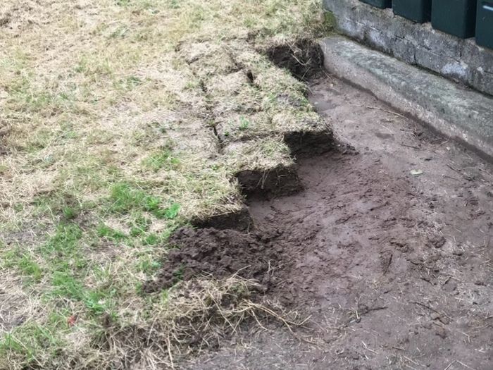 Topsoil