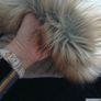 PULL & BEAR Parka  New without tags Postage included Image 5