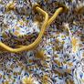 Zara Kids Swimming Trunks Image 2