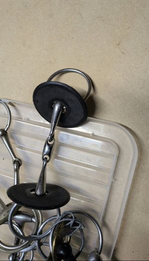 equestrian bits