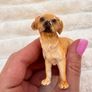 Schleich Farm World Golden Retriever D 73527 approx. 6 cm. tall Used Please see photos Image 3