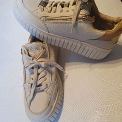 trainers