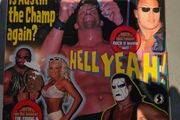 WWE WWF Wrestling Magazines
