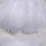 Goose Feathers Image 4