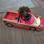 LOL surprise car Image 3