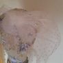 White fascinator Image 3