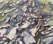 wild Atlantic way stepping stones watercolour