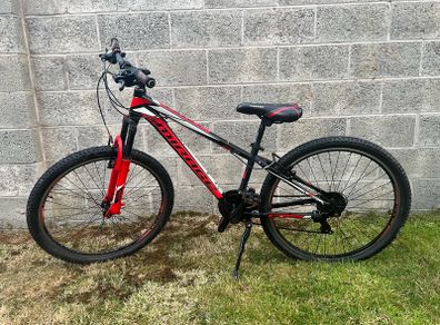 Mountain bike