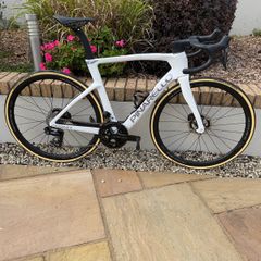 pinarello Dogma