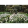 Cast Iron Gazebo D1119 Image 4