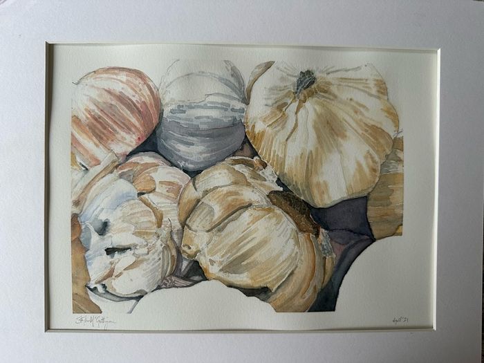 Watercolour - Garlic for Sale