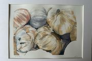 Watercolour - Garlic for Sale