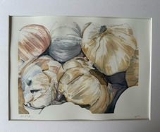 Watercolour - Garlic for Sale