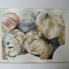 Watercolour - Garlic for Sale