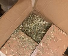 Pet Hay for rabbits or guinea pigs