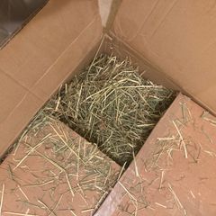 Pet Hay for rabbits or guinea pigs