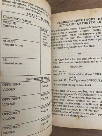 The Temple of Flame (Golden Dragon Fantasy Gamebooks - Dave Morris & Oliver Johnson)