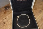 Pandora Daisy Charm bracelet