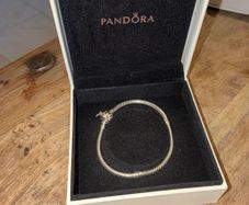 Pandora Daisy Charm bracelet