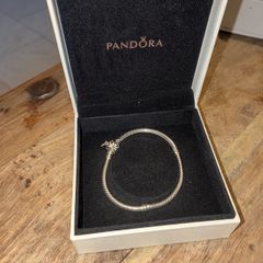 Pandora Daisy Charm bracelet
