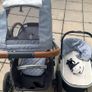 VISTA Uppababy Baby Stroller + Bassinet + Accessories Image 5