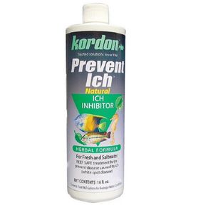 Kordon USA Prevent-Ich 118ml Fish medicine