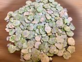 Pea Flakes (300g)