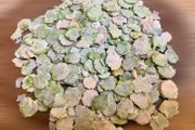 Pea Flakes (300g)