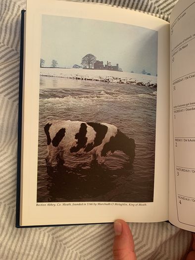 Brand New Vintage Ireland 1986 Yearbook/ Diary