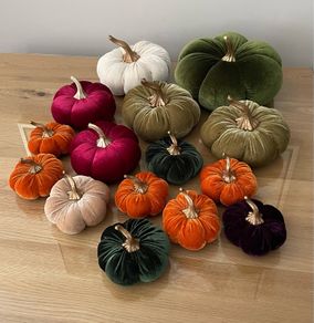 Autumnal decorations x21