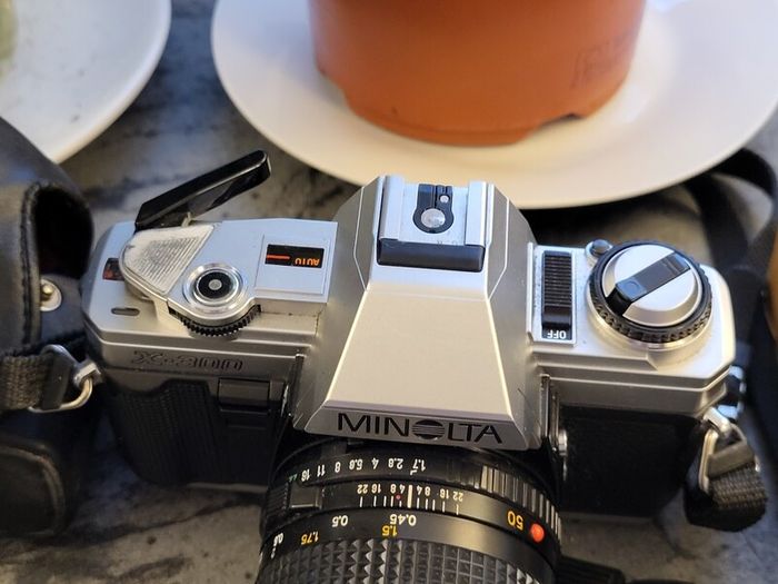 Large Camera Collection