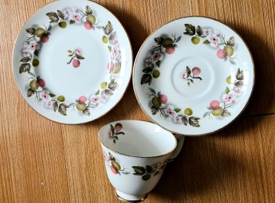 Shabby Chic Vintage Chintzy Apple Blossom Royal Tara Trio