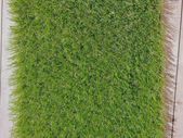 artificial grass