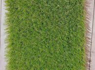main image for ad artificial grass