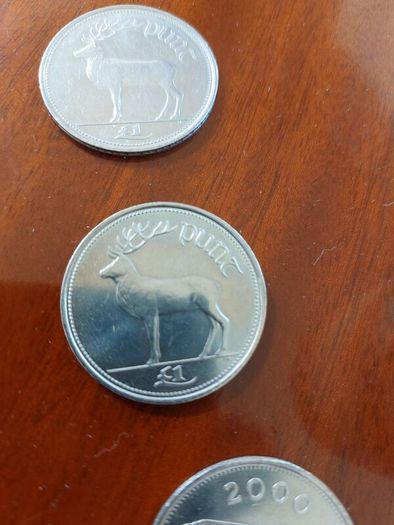 Millennium 1 punt Irish coins