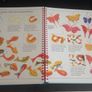 The Usborne Book of Art Skills Image 5