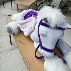 Stuffed horse