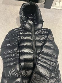 canada goose
