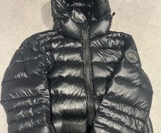 canada goose