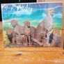 3D Animal Prints Assortment Image 3