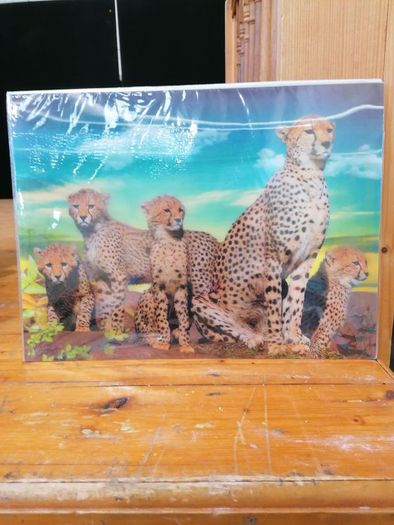 3D Animal Prints Assortment