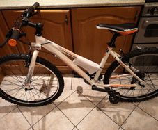 Raleigh mountain Bike