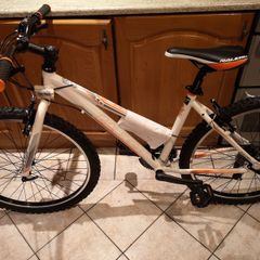 Raleigh mountain Bike
