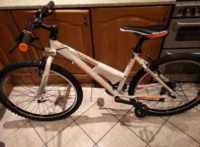 Raleigh mountain Bike