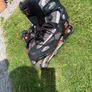 InLine Skates Image 3